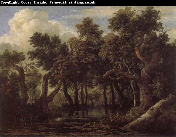 Jacob van Ruisdael Marsh in a Forest